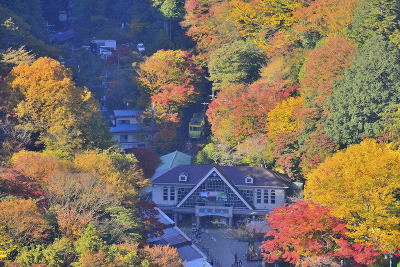 高尾山の紅葉写真